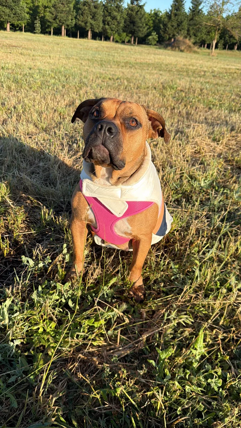Betty