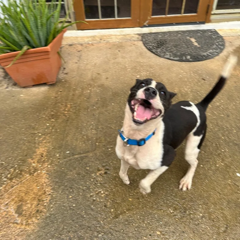 Tonka Bud "i Am thumbnail 2