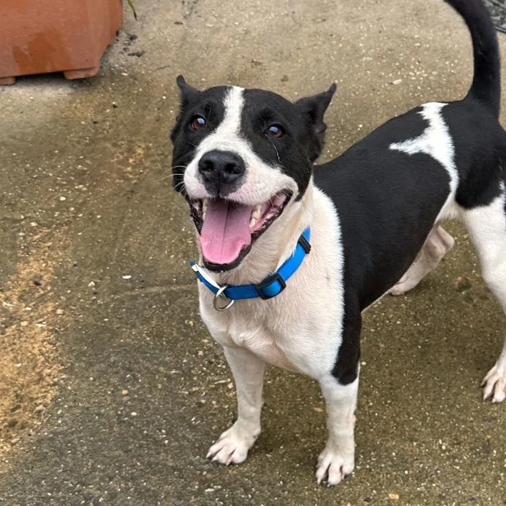 Tonka Bud "i Am thumbnail 3