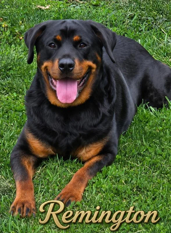 Remington
