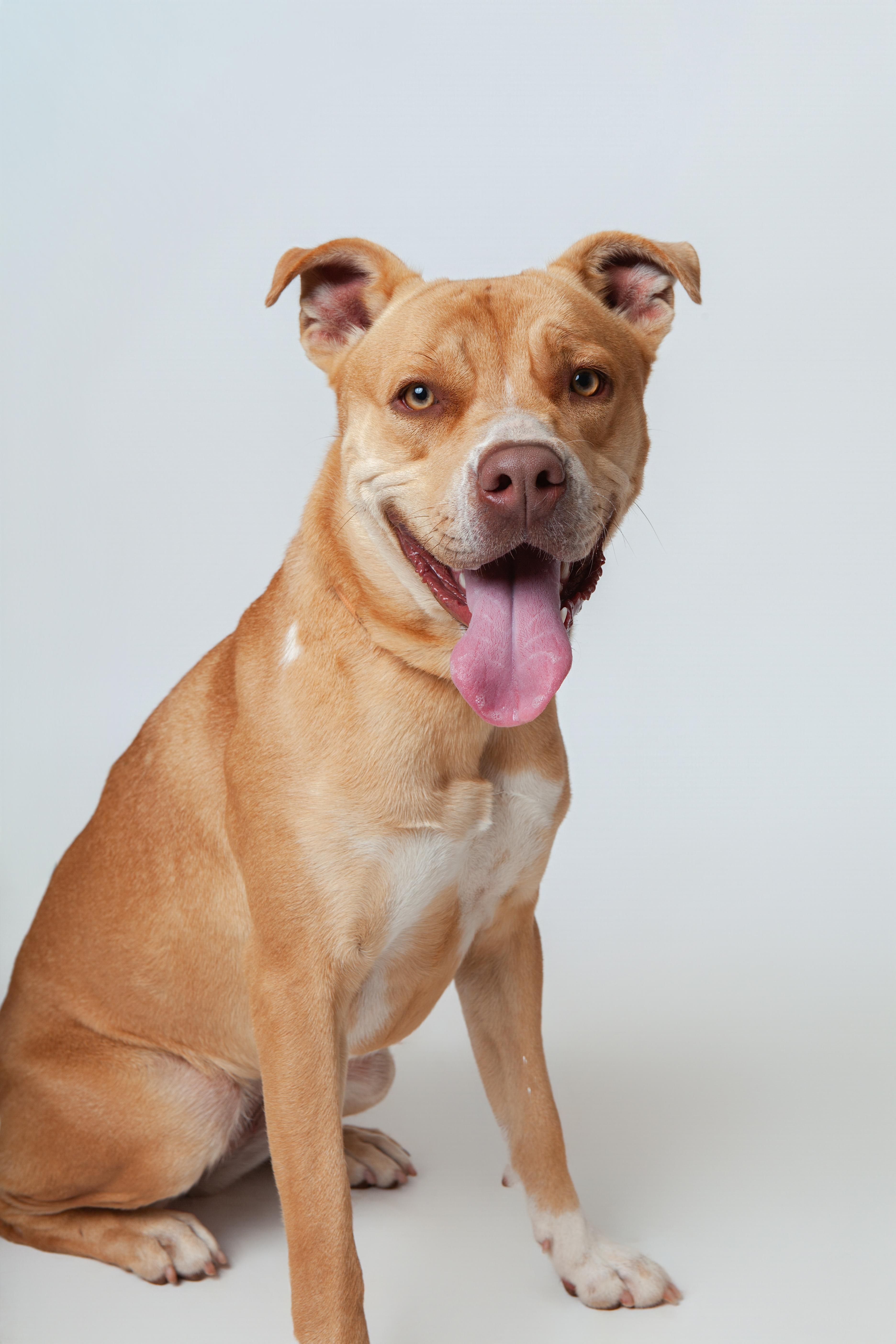 Novalee Nation thumbnail 2