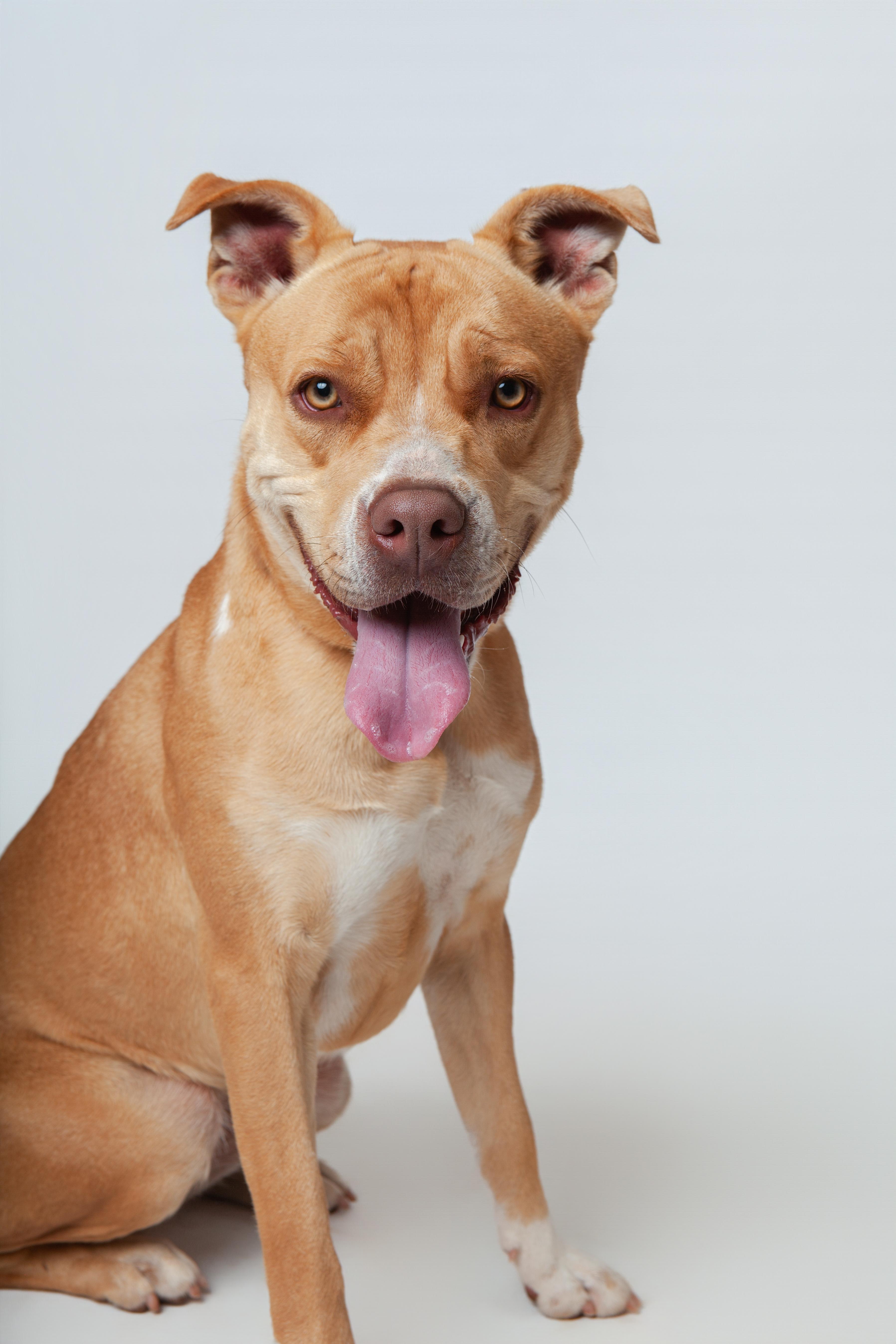 Novalee Nation thumbnail 3