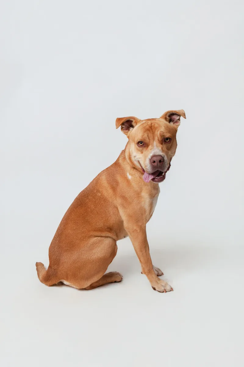 Novalee Nation thumbnail 4