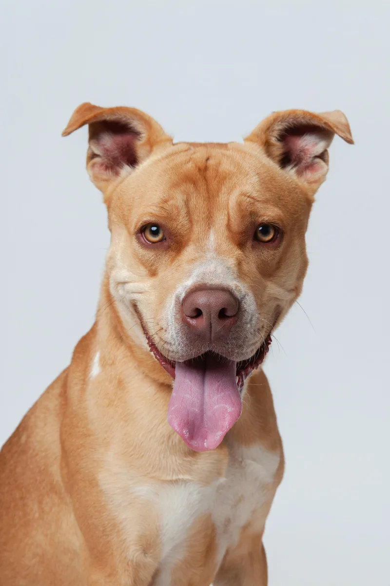 Novalee Nation thumbnail 5