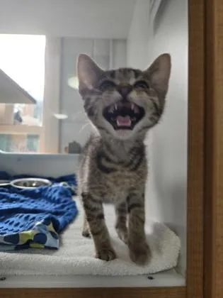 Scott thumbnail 2