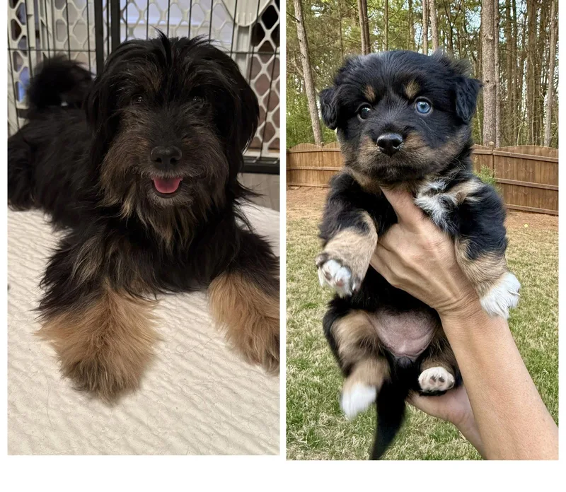 Mitzi Middleton thumbnail 2