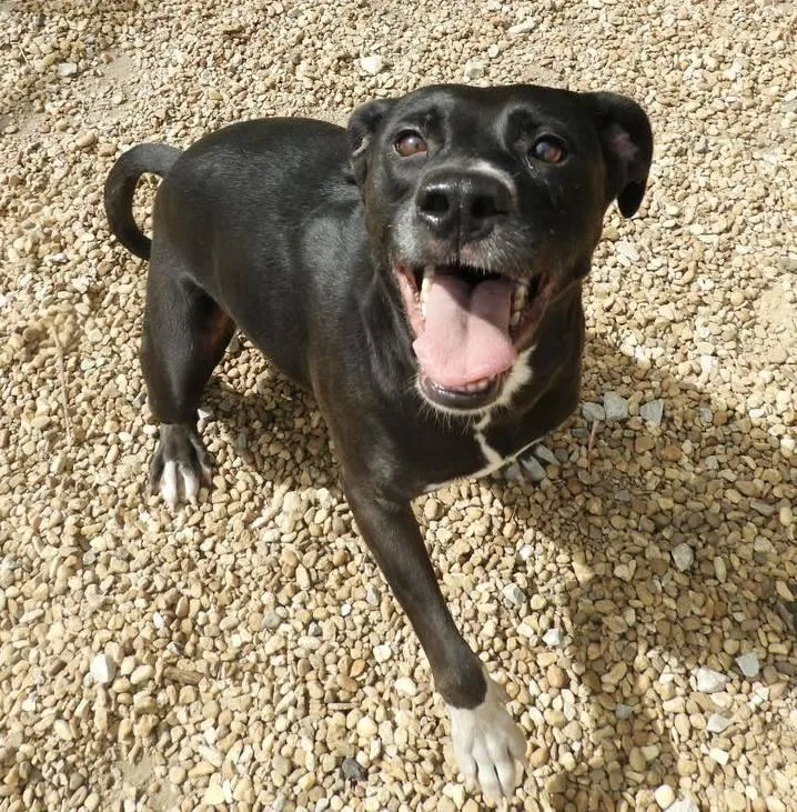 Luna Lemon thumbnail 2