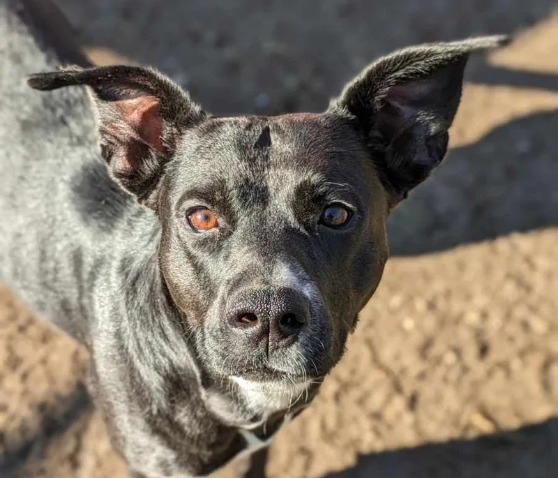 Luna Lemon thumbnail 3