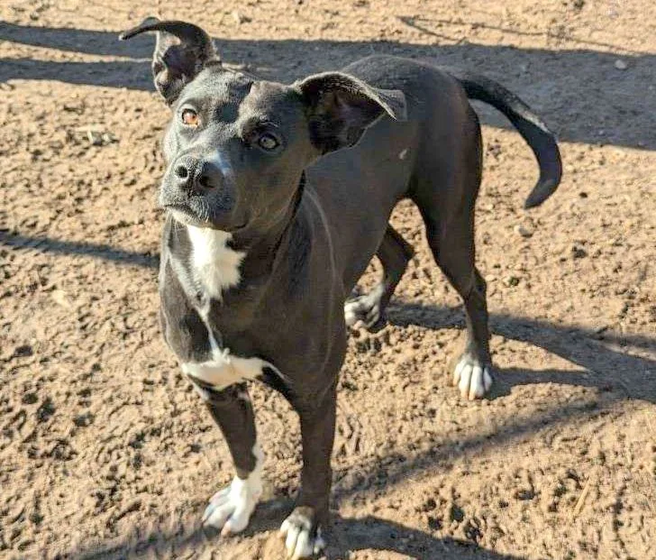 Luna Lemon thumbnail 4