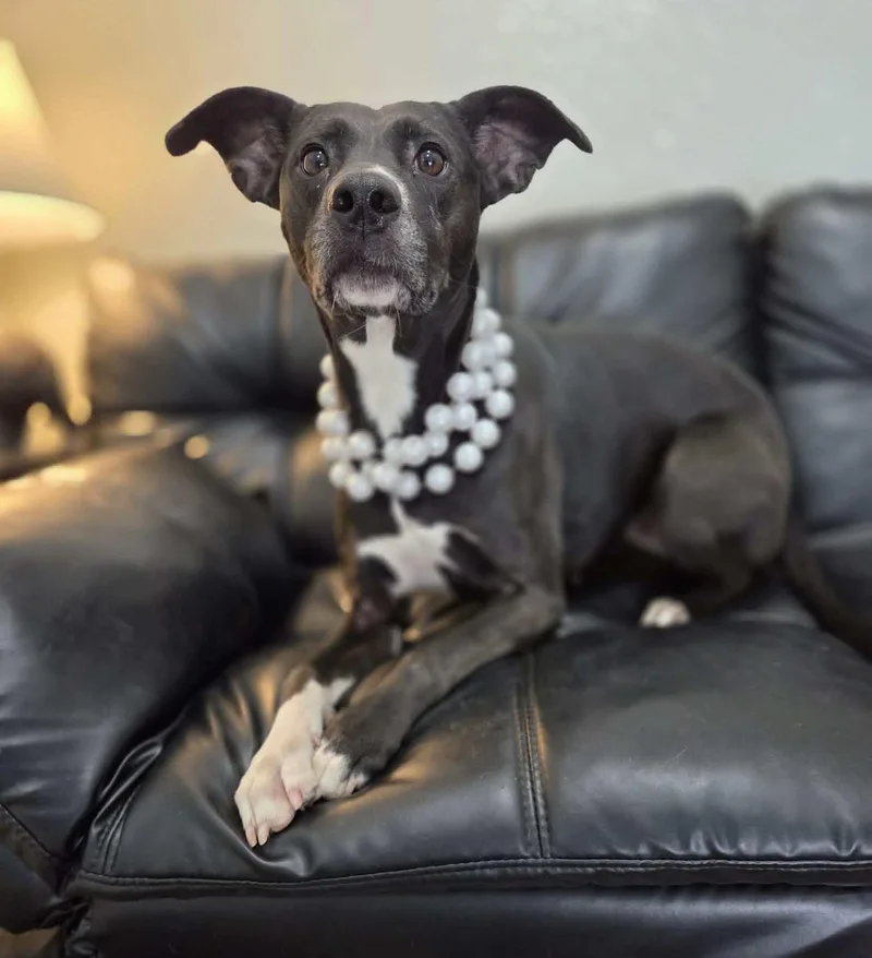 Luna Lemon thumbnail 5