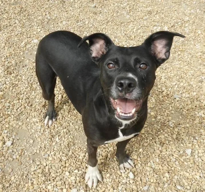 Luna Lemon thumbnail 6