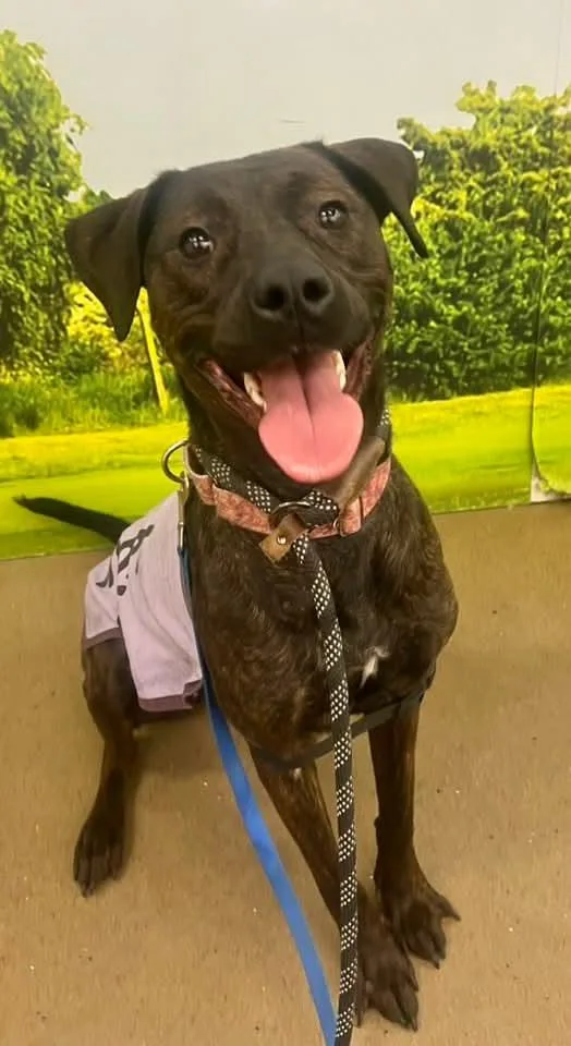 Patsy Cline thumbnail 2