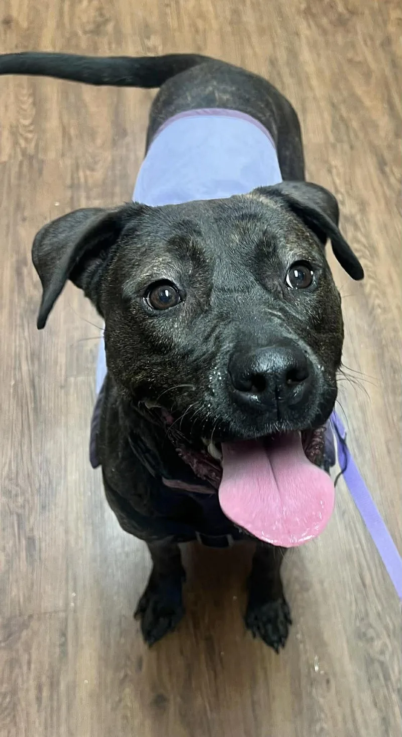 Patsy Cline thumbnail 3