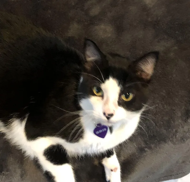 Ludacris thumbnail 2