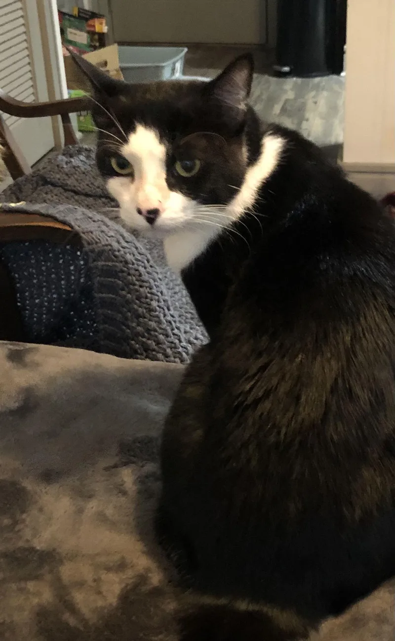 Ludacris thumbnail 3