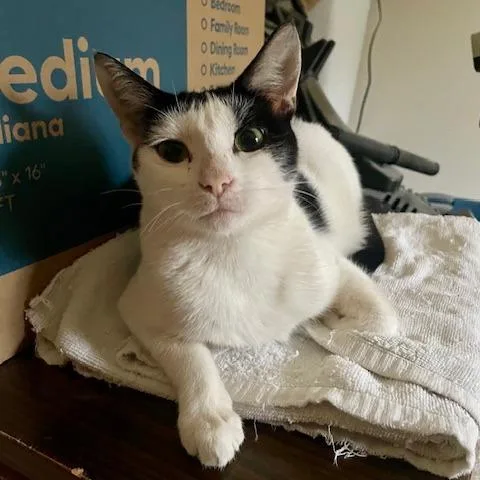 Mootilda thumbnail 2