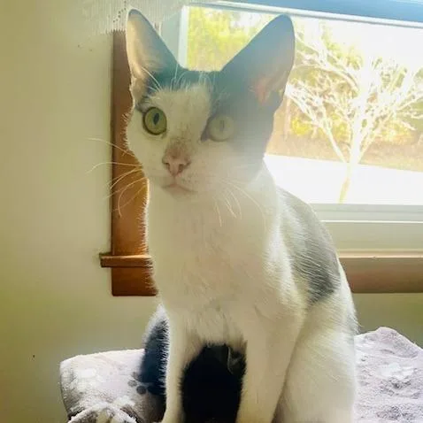 Mootilda thumbnail 4