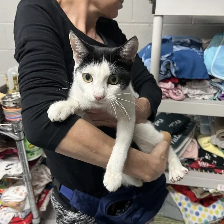 Mootilda thumbnail 6