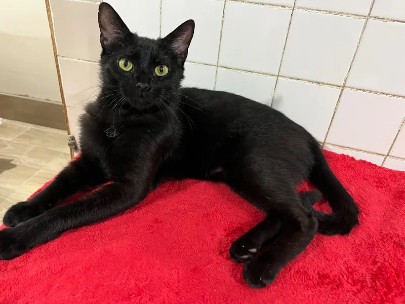 Precious thumbnail 2