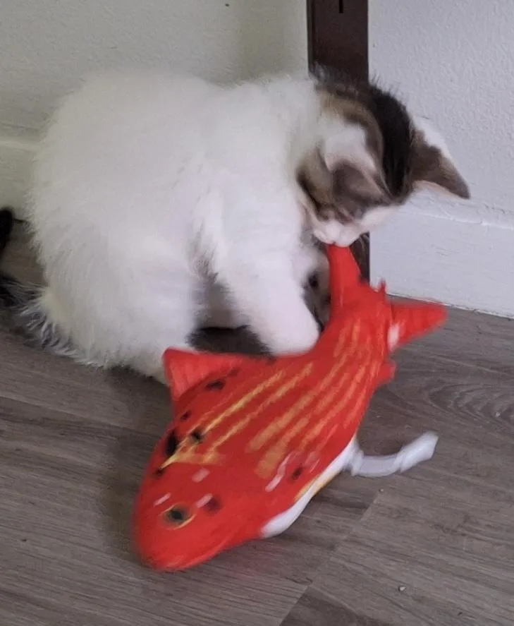 Tootsie Pop thumbnail 4