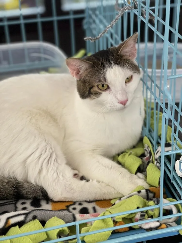 Tootsie Pop thumbnail 5