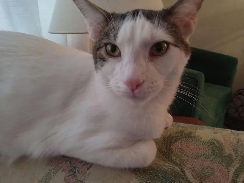 Tootsie Pop thumbnail 6