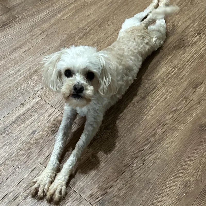 Tonya Marie thumbnail 3