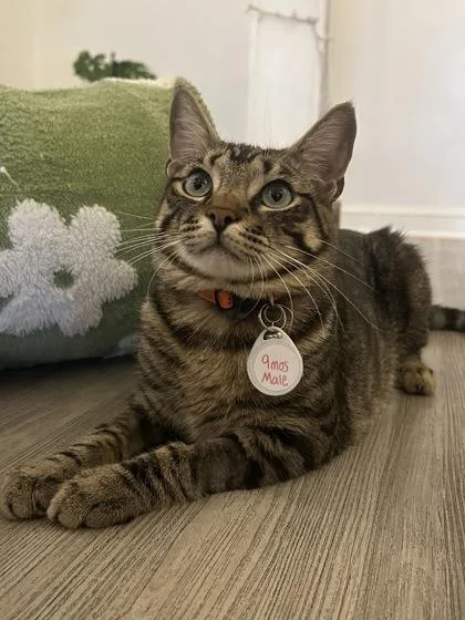Tigger