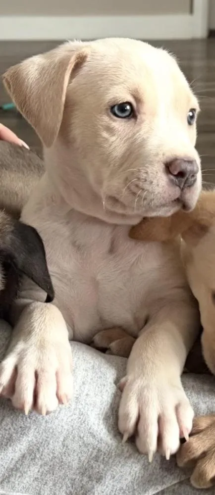 Blizzard thumbnail 2