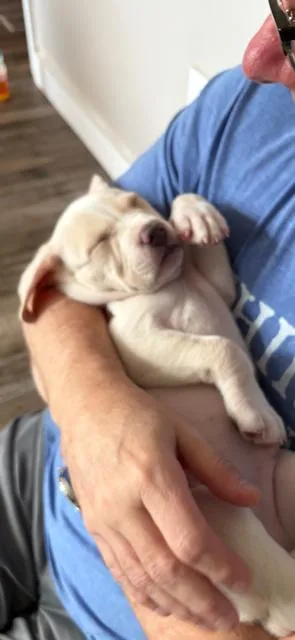 Blizzard thumbnail 5