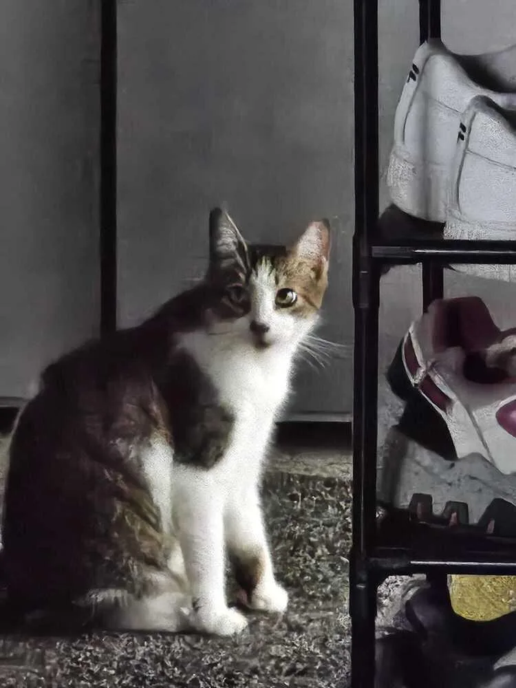 Manchita thumbnail 3