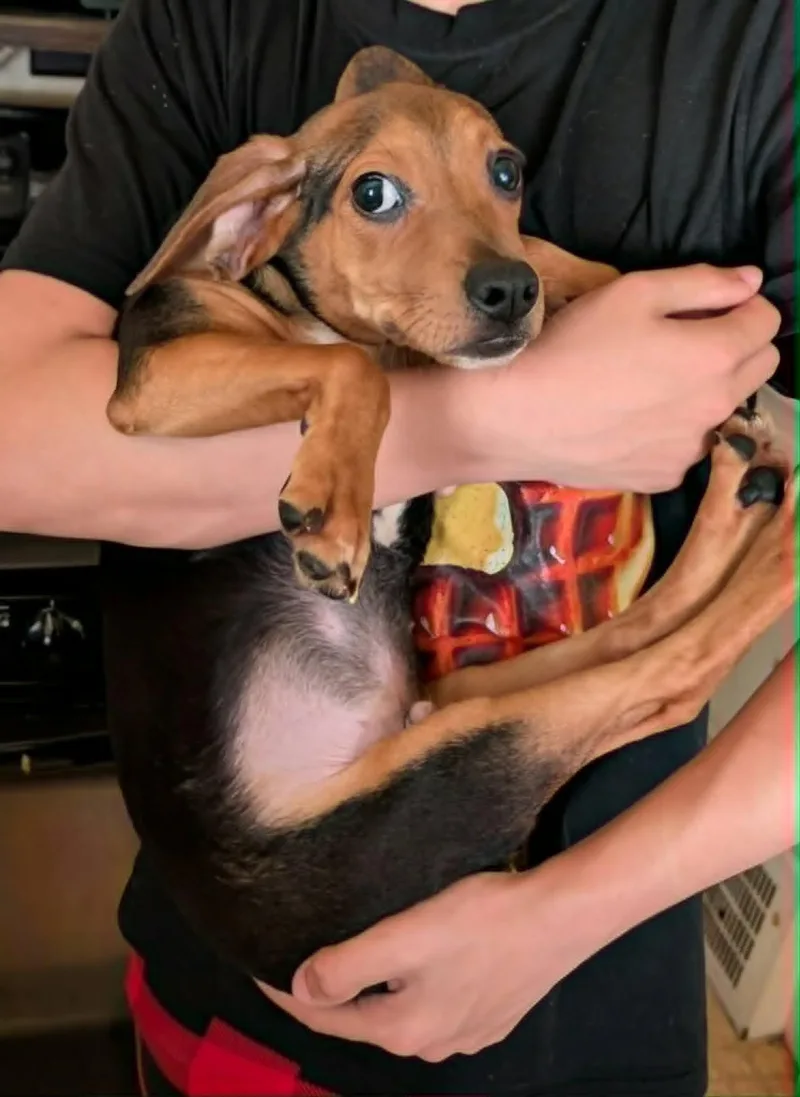 Duke