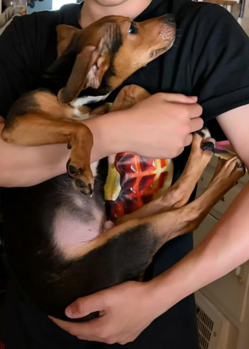 Duke thumbnail 3