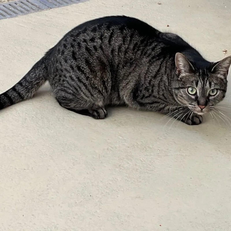 Lakewood thumbnail 2