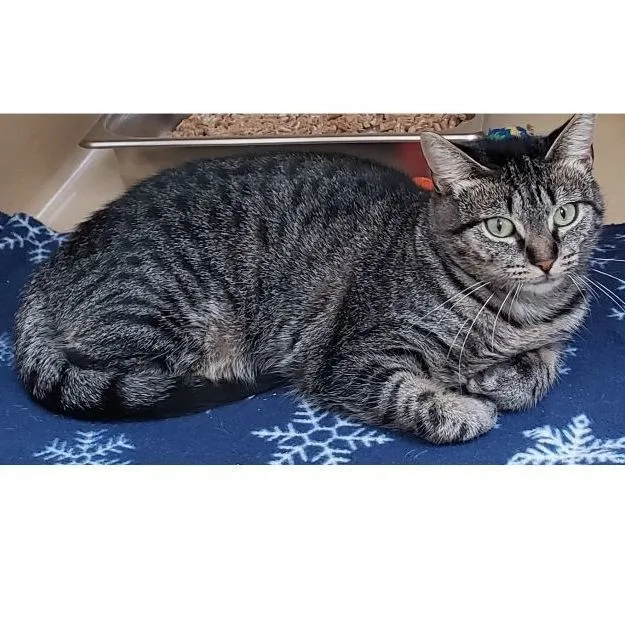 Lakewood thumbnail 3