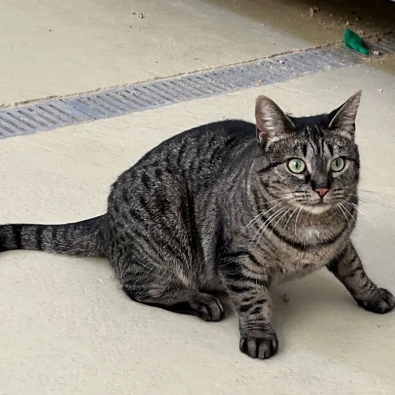 Lakewood thumbnail 4