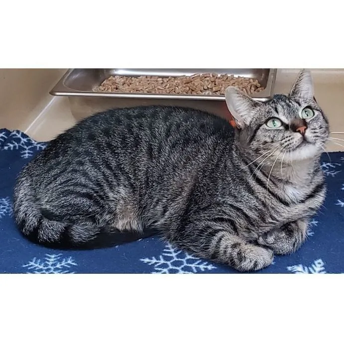 Lakewood thumbnail 5