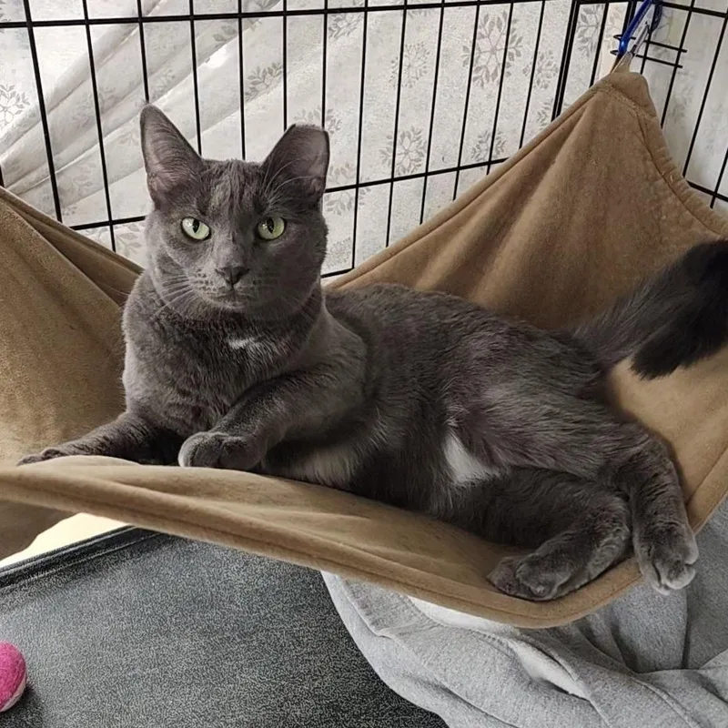 Caitlynspectacular thumbnail 2