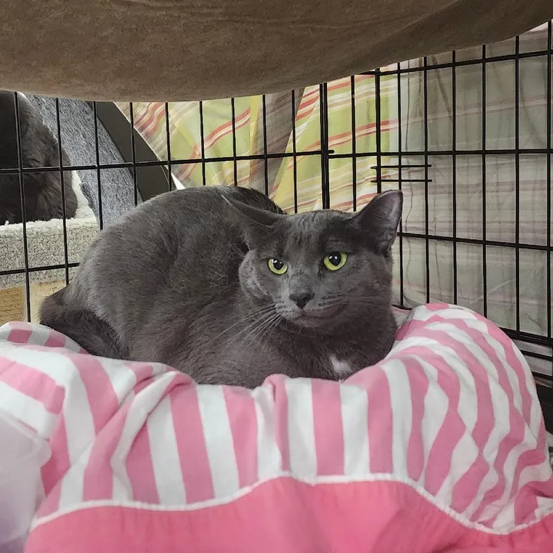 Caitlynspectacular thumbnail 3