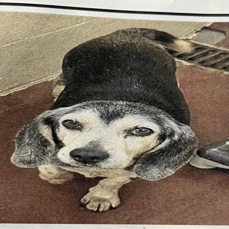 Winston