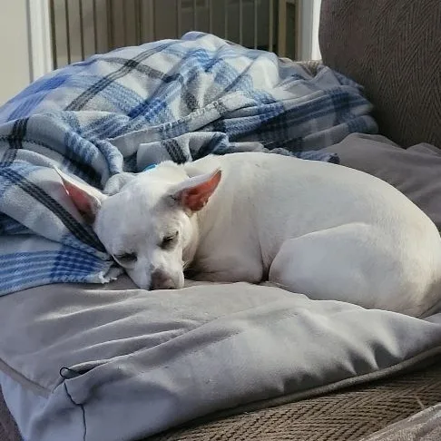 Noveno Slthw thumbnail 2