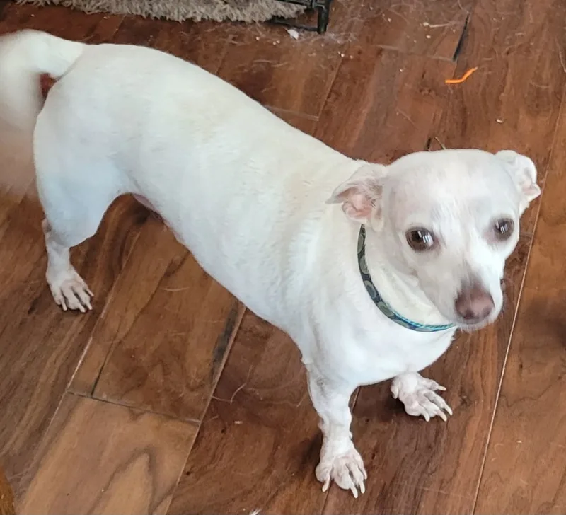 Noveno Slthw thumbnail 3