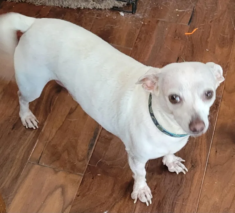 Noveno Slthw thumbnail 4