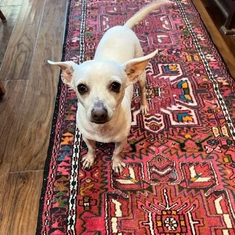 Noveno Slthw thumbnail 5