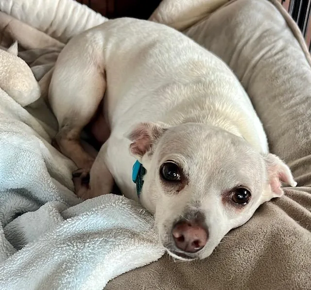 Noveno Slthw thumbnail 6