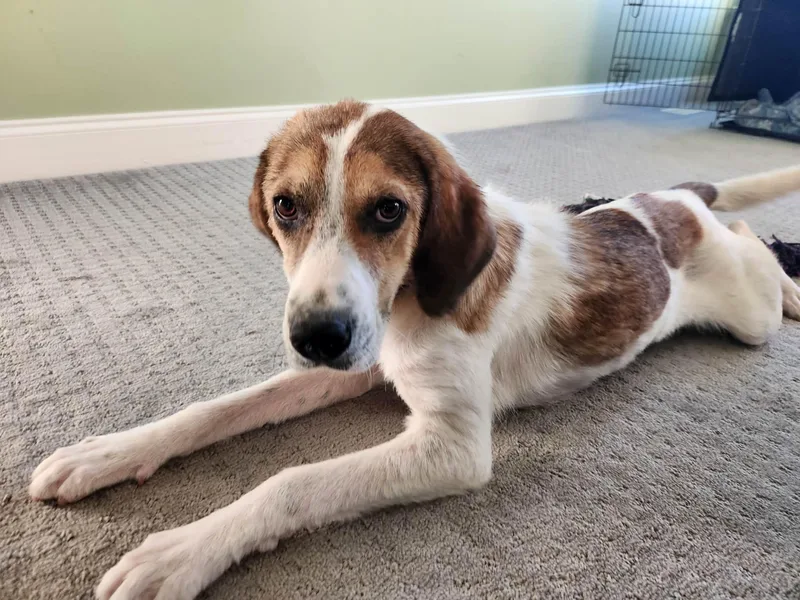 Maggie Mae thumbnail 2