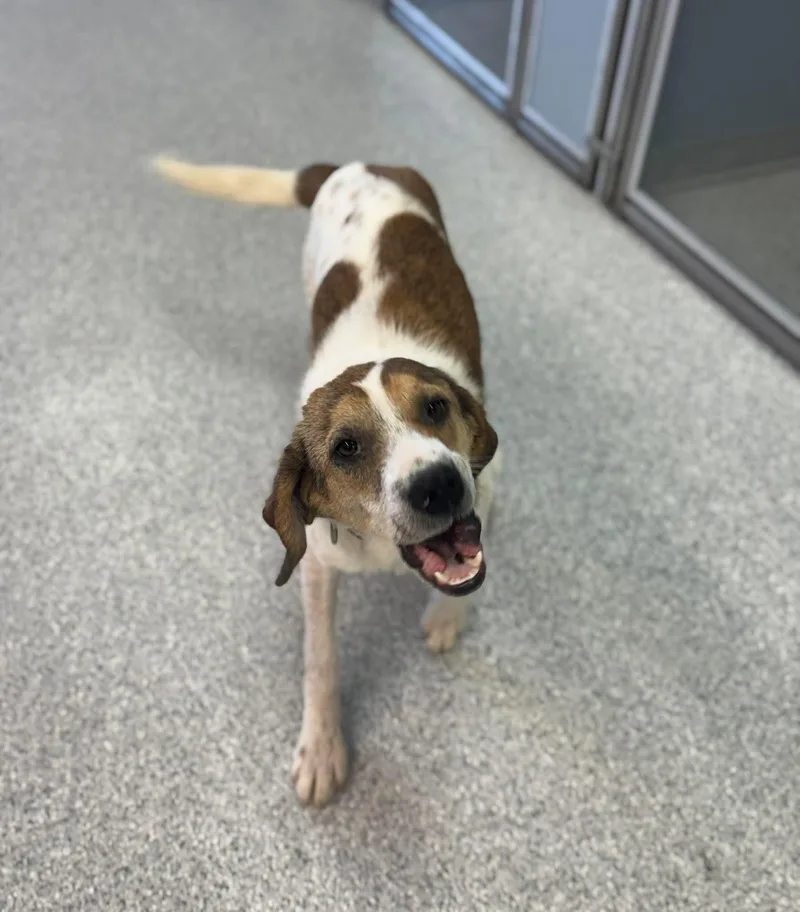 Maggie Mae thumbnail 3