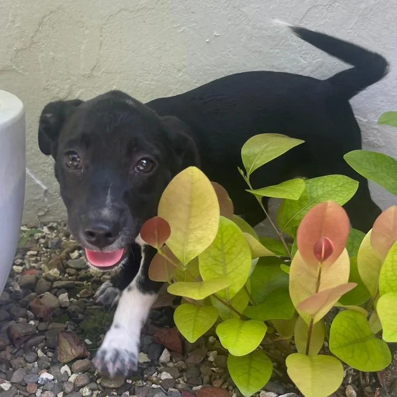 Winter "let's Grow Love thumbnail 2