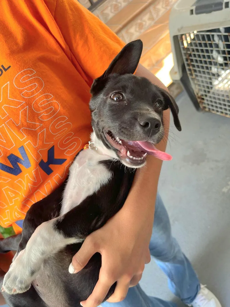 Winter "let's Grow Love thumbnail 3