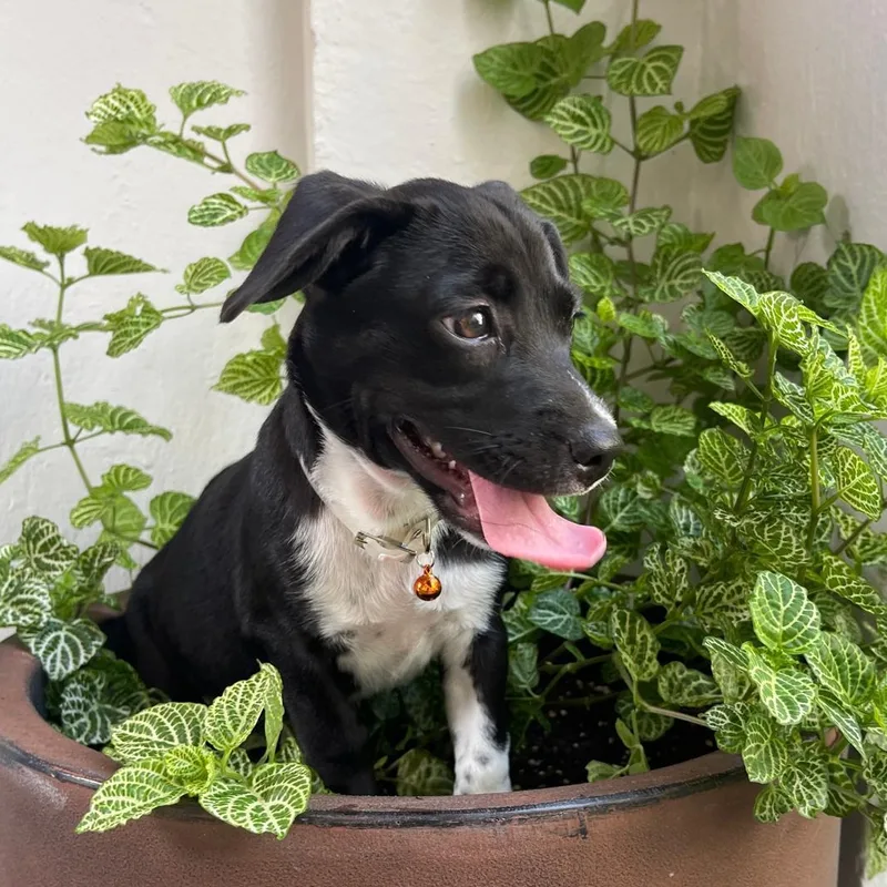 Winter "let's Grow Love thumbnail 4